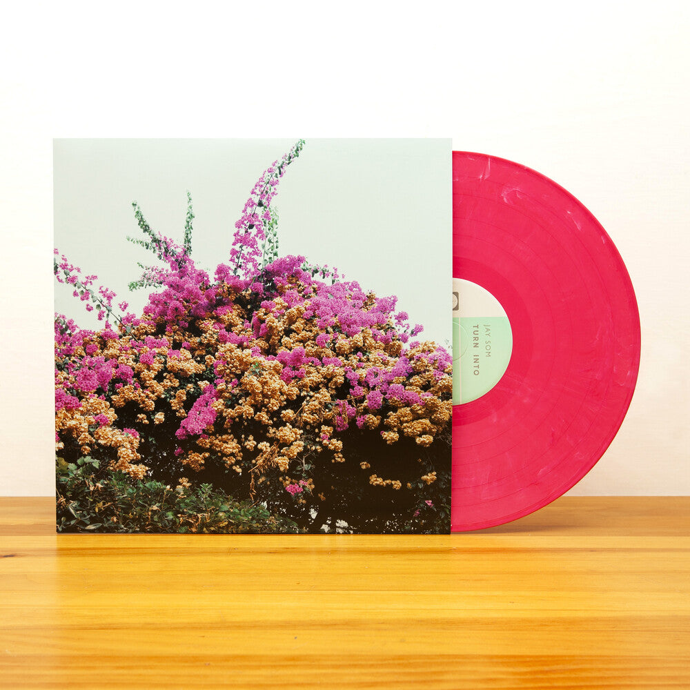 Turn Into [Vinyl]