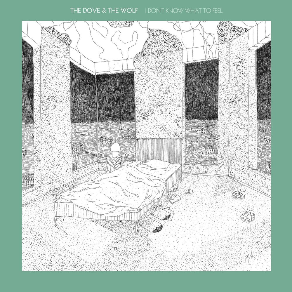 I Don't Know What To Feel [Vinyl]
