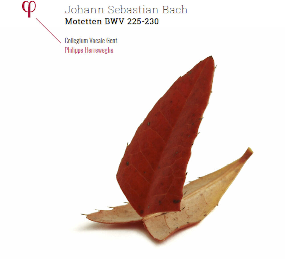 Johann Sebastian Bach: Motetten BWV 225-230 [LP]