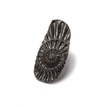 31x13.5mm Pyritized Ammonite  Fossil Focal Bead (ONLINE ORDER ONLY)
