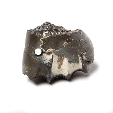 31x26mm Pyritized Ammonite  Fossil Focal Bead (ONLINE ORDER ONLY)