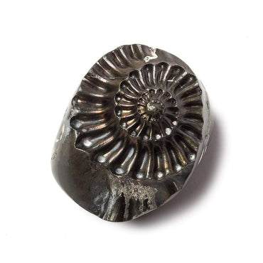 31x26mm Pyritized Ammonite  Fossil Focal Bead (ONLINE ORDER ONLY)