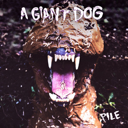 Pile [Vinyl]