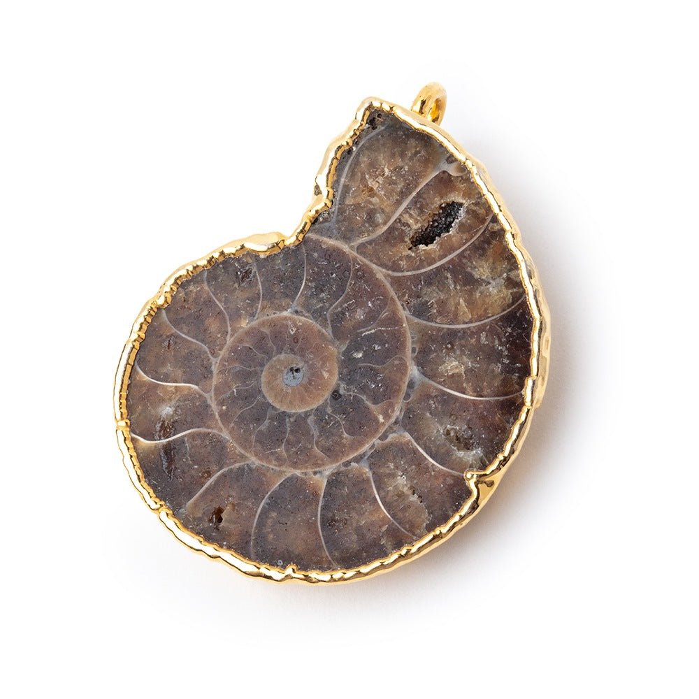 33.5x28mm Gold Leafed Ammonite Fossil Pendant 1 focal piece (ONLINE ORDER ONLY)