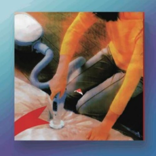 Why Do You Look Like Your Dog? [CD]