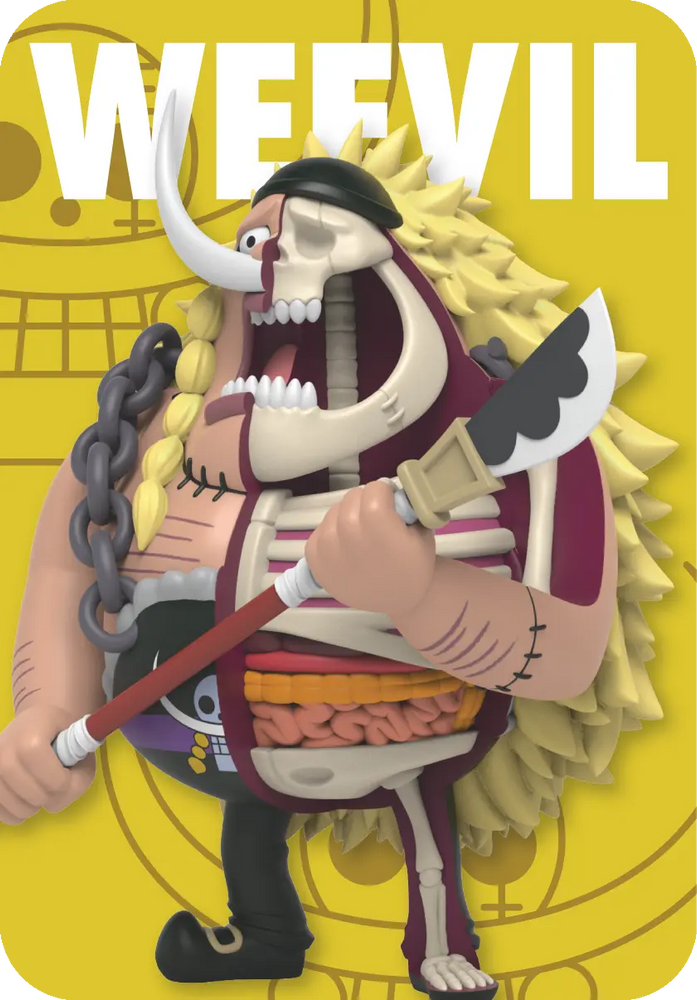 Freeny’s Hidden Dissectibles: One Piece (Warlords Edition) (1 Blind Box) (ONLINE ORDER ONLY)