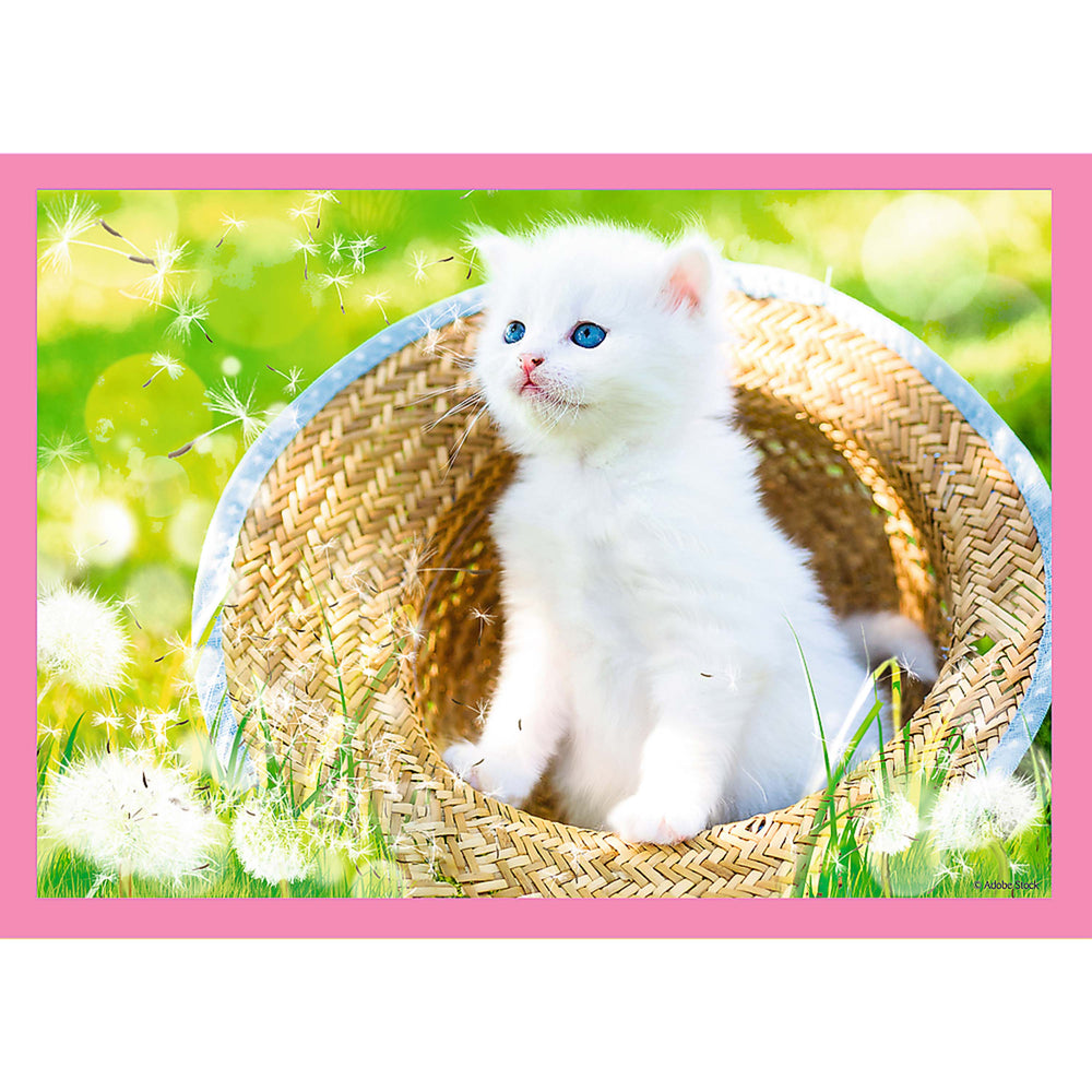 Trefl Preschool 4 in 1 Puzzle - Fun Cats (ONLINE ORDER ONLY)