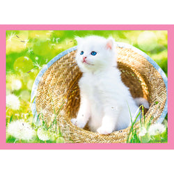 Trefl Preschool 4 in 1 Puzzle - Fun Cats (ONLINE ORDER ONLY)