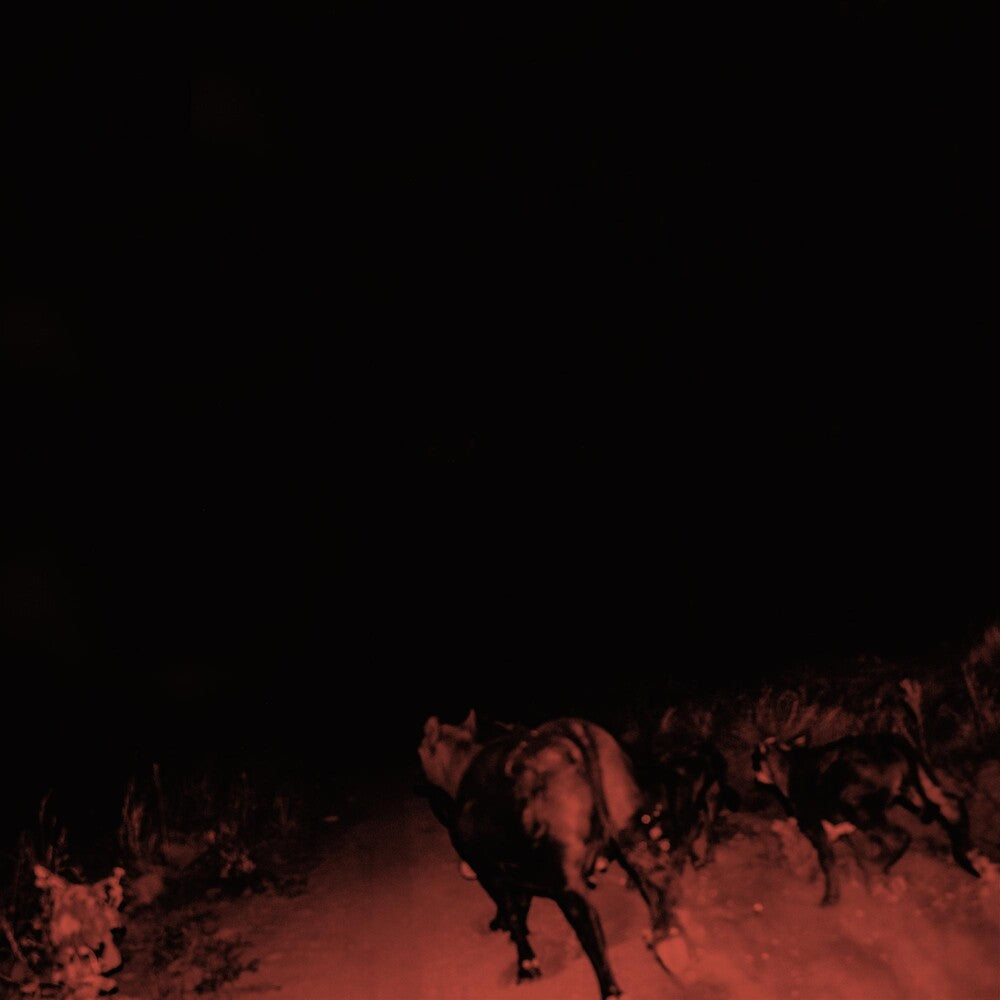 Shadow On Everything [LP]