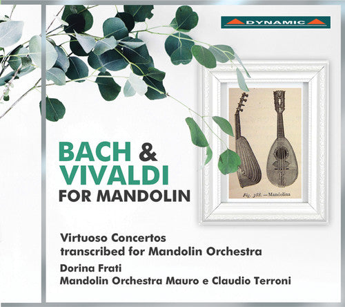 Bach & Vivaldi for Mandolin [CD]