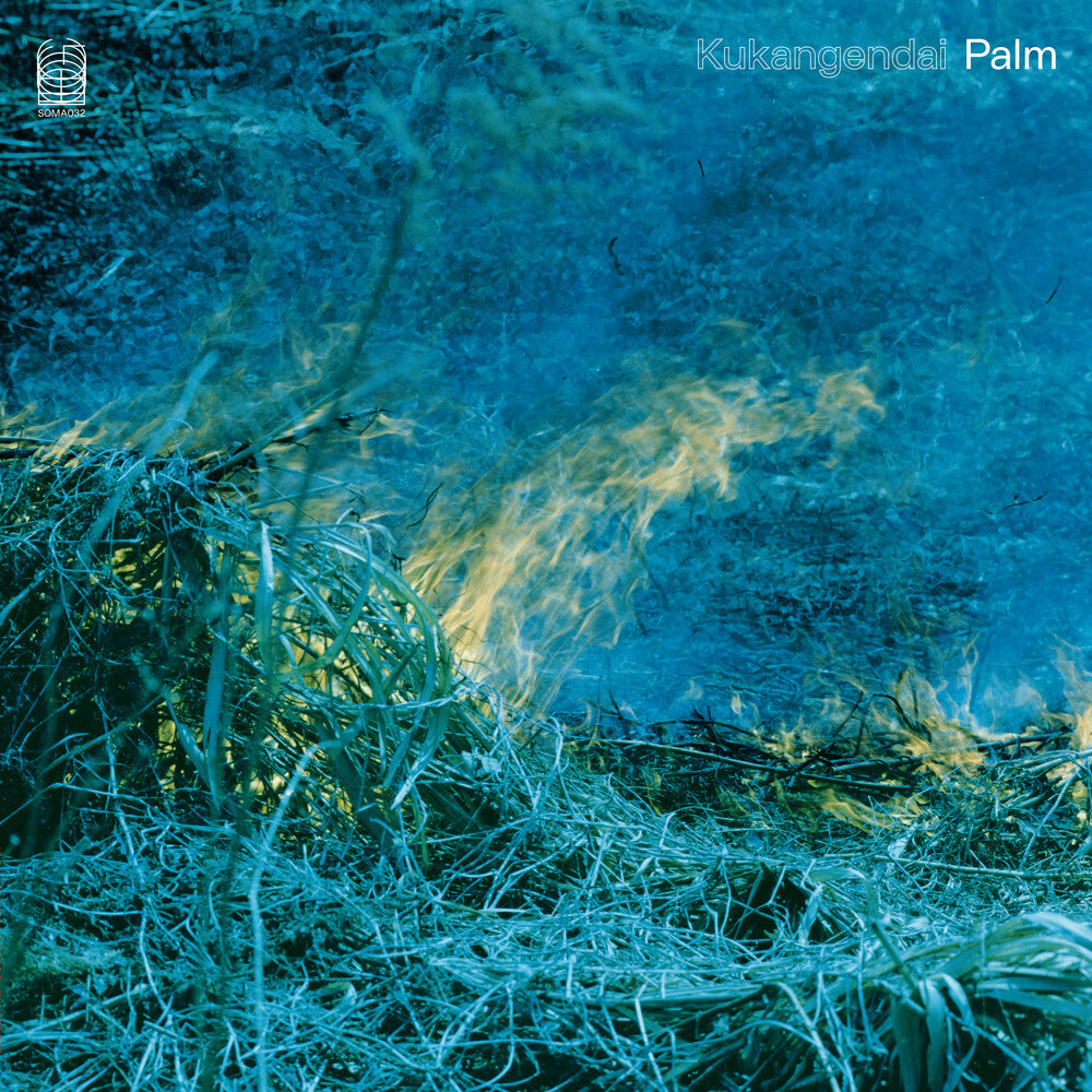 Palm [LP]