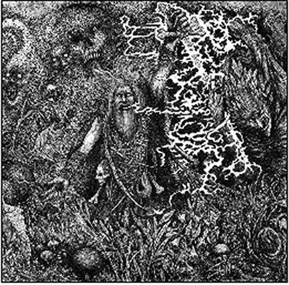 Animist [LP]
