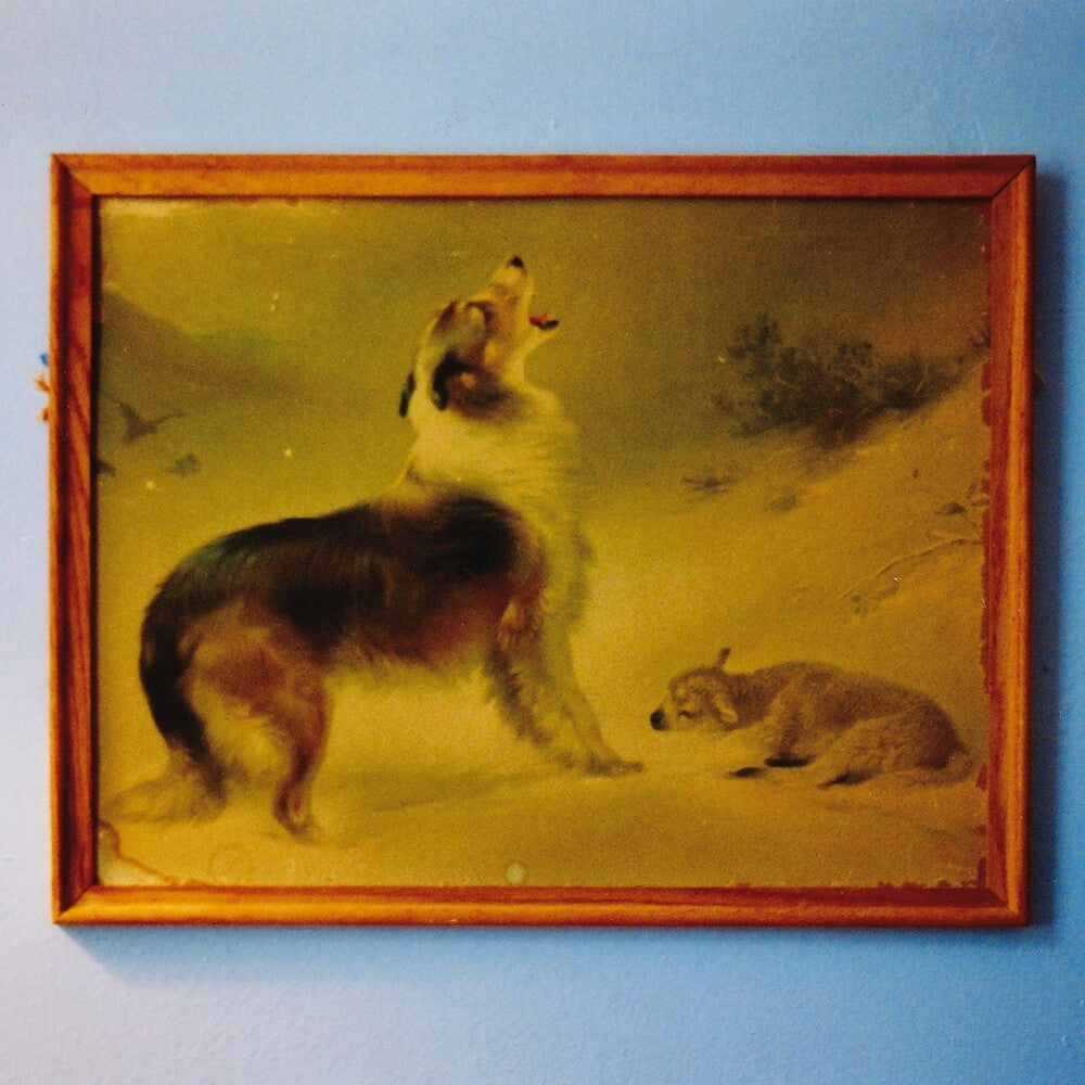 Rescue (Org) [LP]