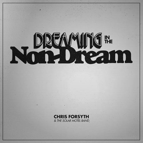 Dreaming In The Non-Dream [LP]