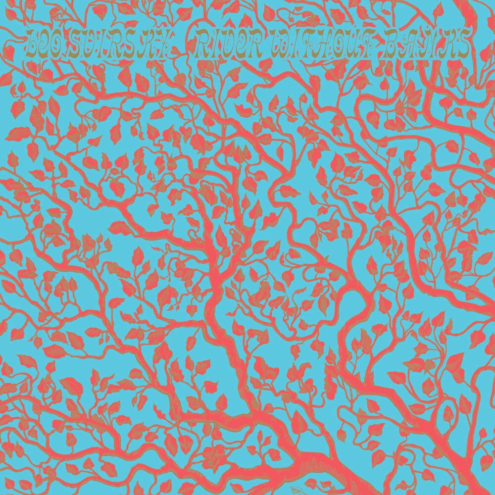 River Without Banks [LP]