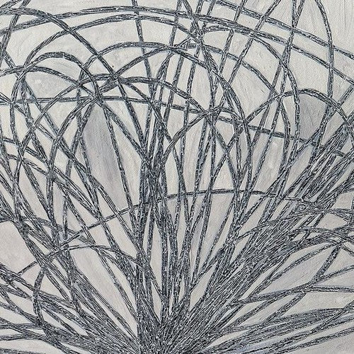 Hausi [LP]