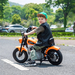 36V Freddo E-Chopper, Leather Seat, Rubber Air Wheels, Brushless Motor (ONLINE ORDER ONLY)