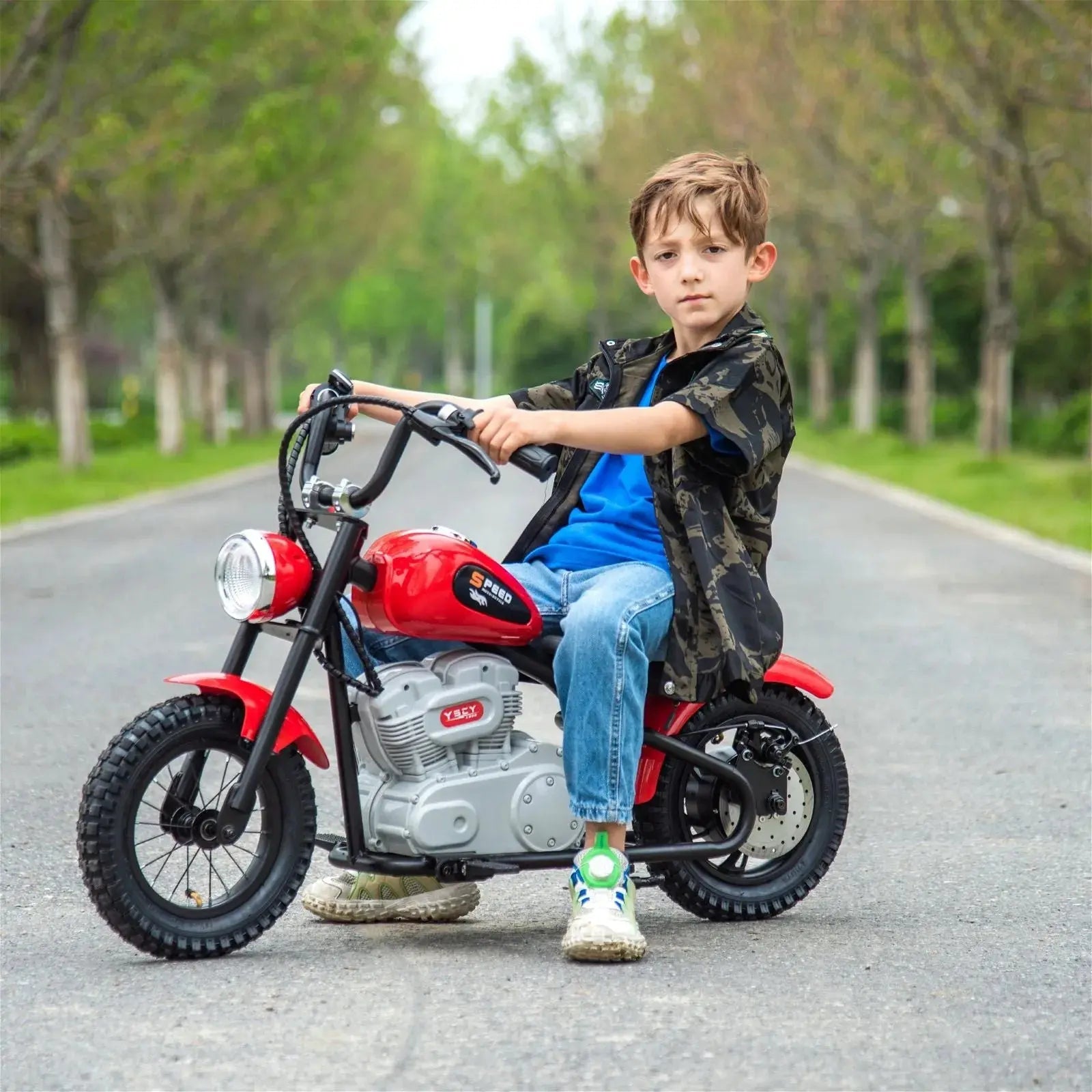 36V Freddo E-Chopper, Leather Seat, Rubber Air Wheels, Brushless Motor (ONLINE ORDER ONLY)