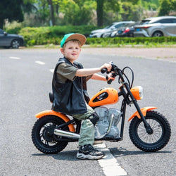 36V Freddo E-Chopper, Leather Seat, Rubber Air Wheels, Brushless Motor (ONLINE ORDER ONLY)
