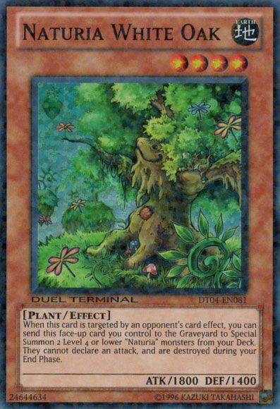 Naturia White Oak [DT04-EN081] Super Rare (ONLINE ORDER ONLY)
