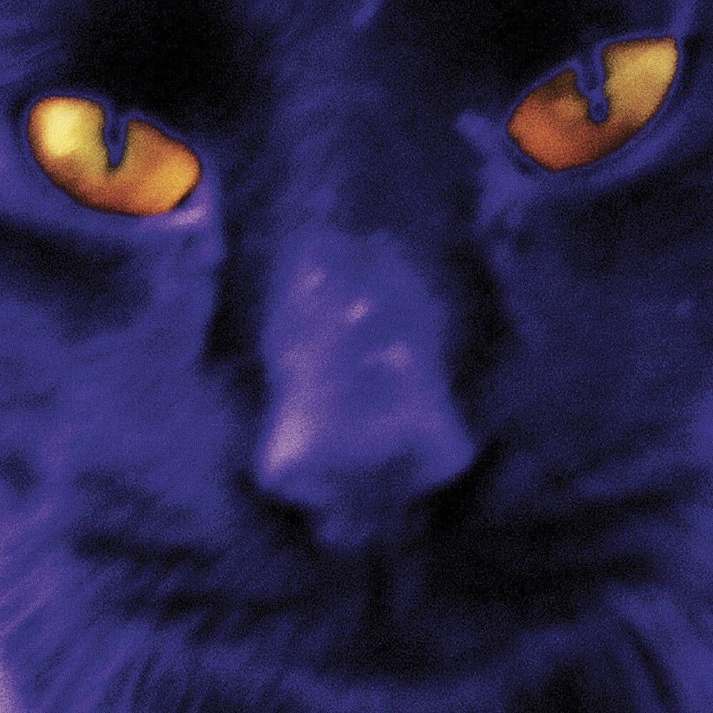 Bobbie's A Girl [LP]