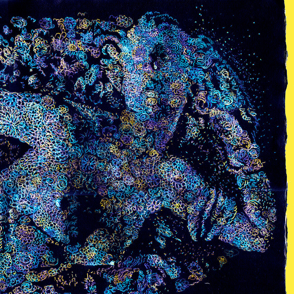 Les Fleurs du Mal [LP]