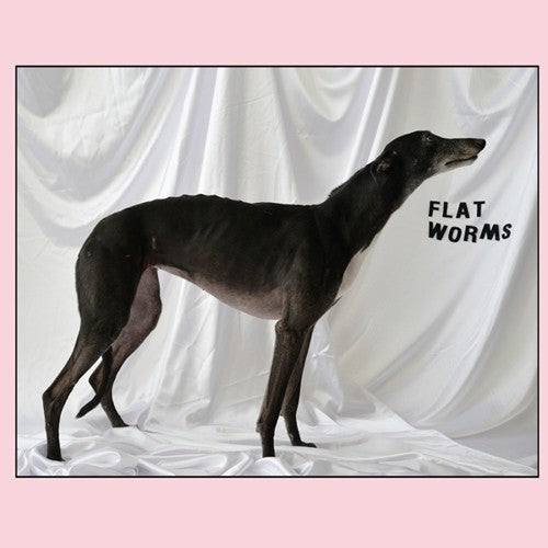 Flat Worms [LP]