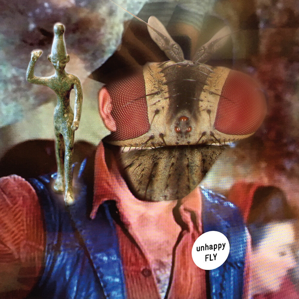 Unhappy Fly [LP]
