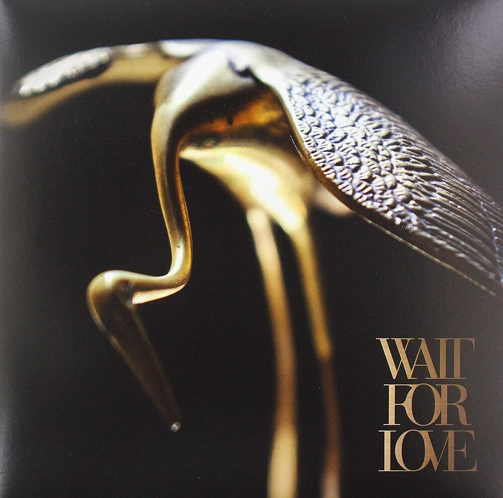 Wait For Love [LP]