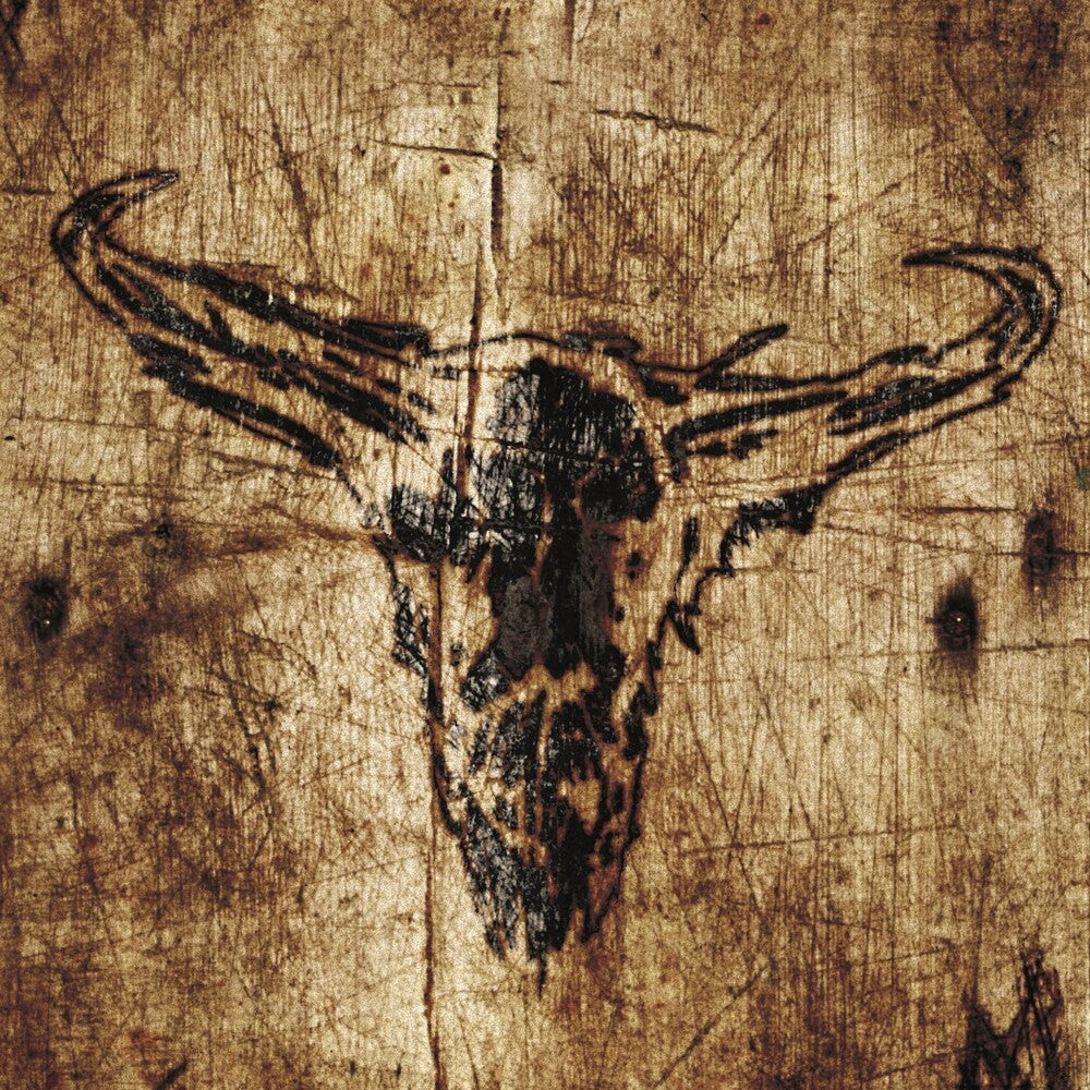 Southern Hostility [LP]