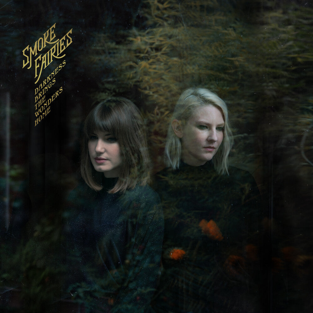 Darkness Brings The Wonders Home (Blk) [180 Gram]