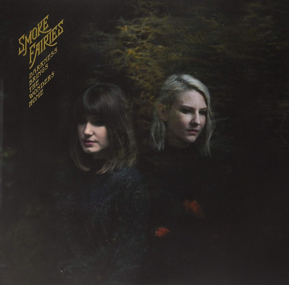 Darkness Brings The Wonders Home (Indie Exclusive) [LP]