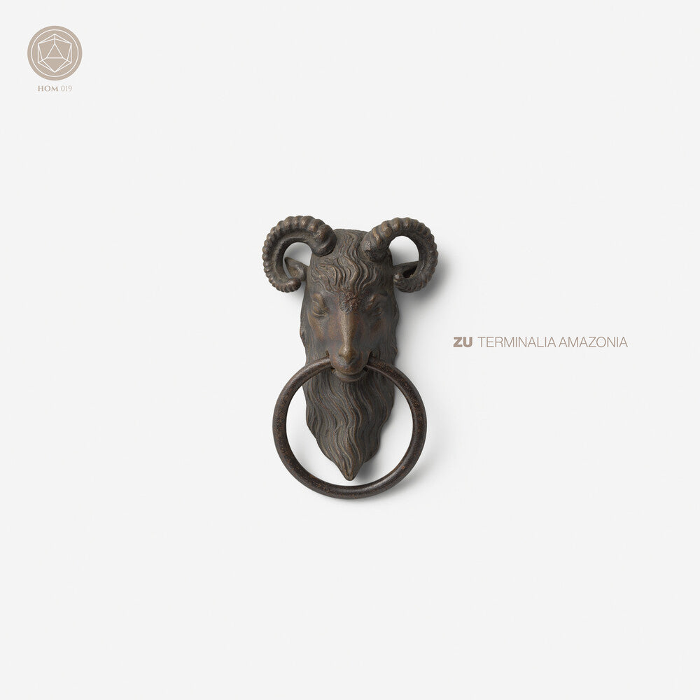 Terminalia Amazonia [LP]
