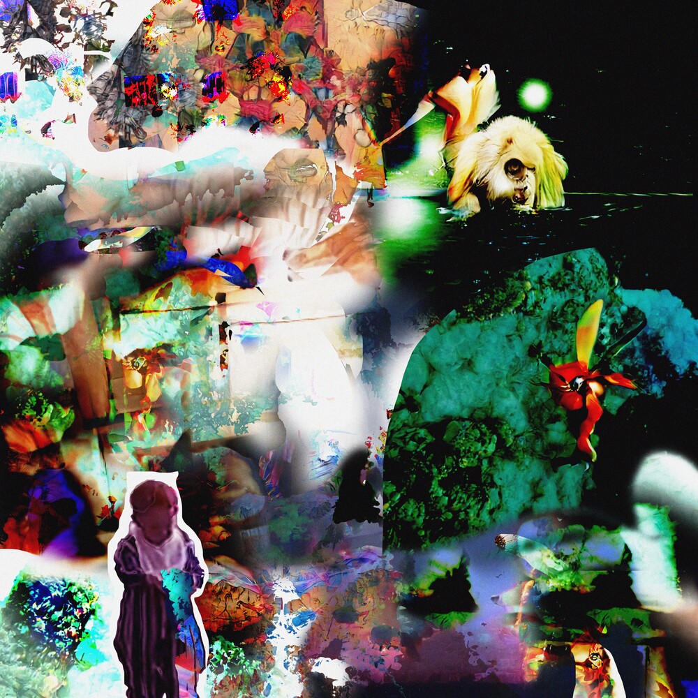 Distractions [LP]