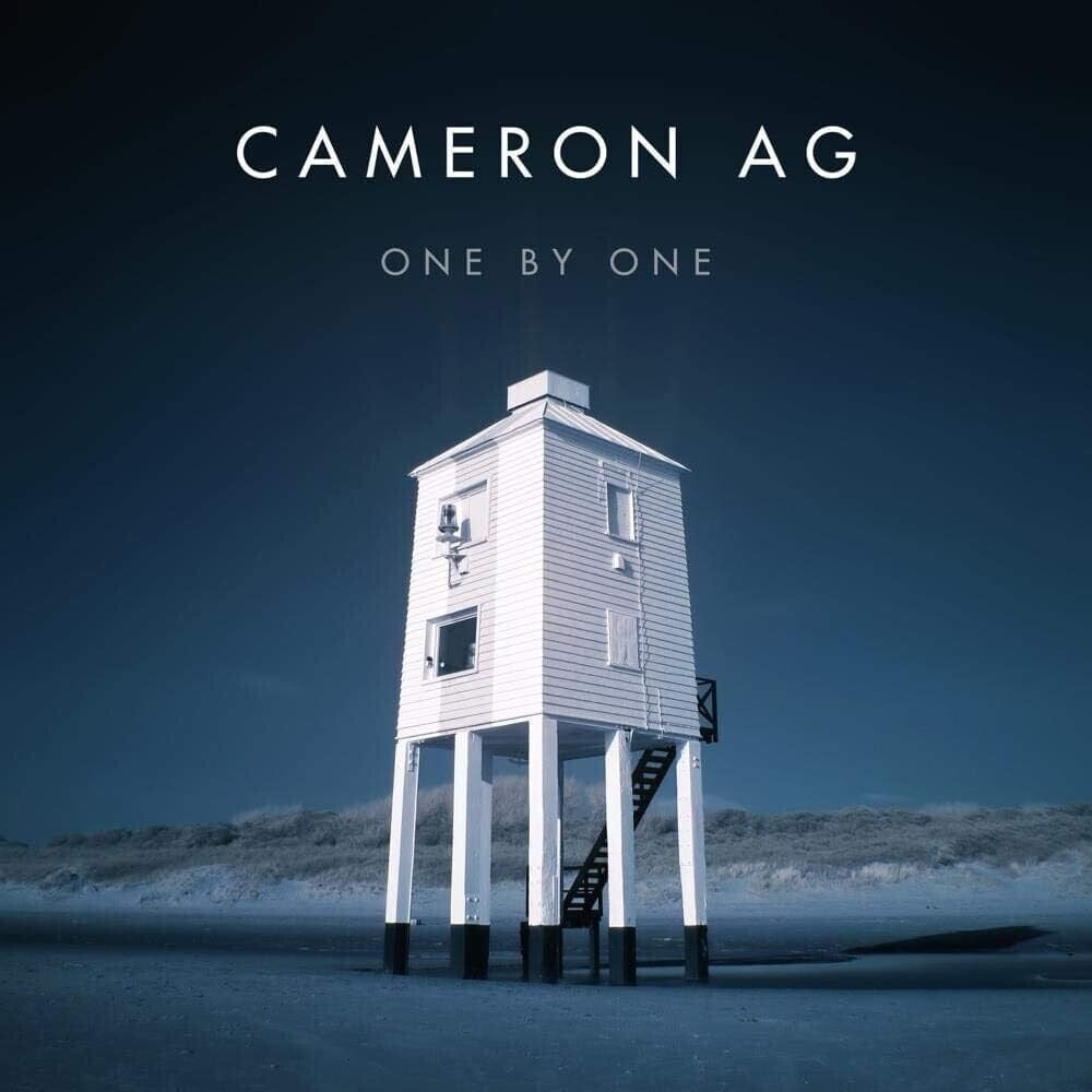 One By One [LP]