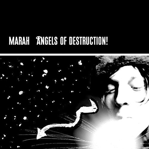 Angels Of Destruction [LP]