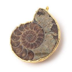 37.5x31.5mm Gold Leafed Ammonite Fossil Pendant 1 focal piece (ONLINE ORDER ONLY)