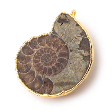 37.5x31.5mm Gold Leafed Ammonite Fossil Pendant 1 focal piece (ONLINE ORDER ONLY)