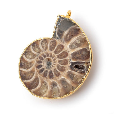 37.5x32mm Gold Leafed Ammonite Fossil Pendant 1 focal piece (ONLINE ORDER ONLY)