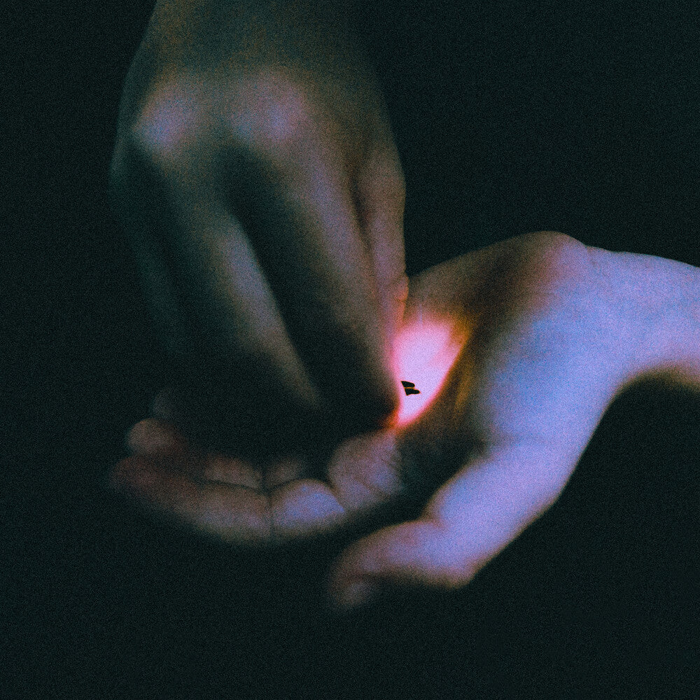 Stray [LP]