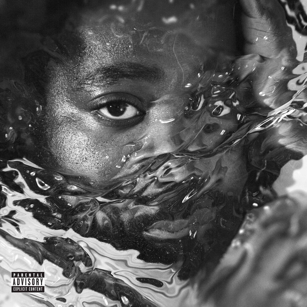 Surfacing [LP]