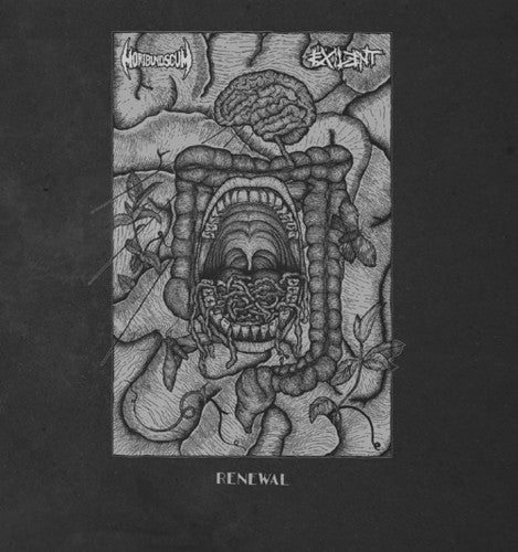 Renewal (Split) [LP]