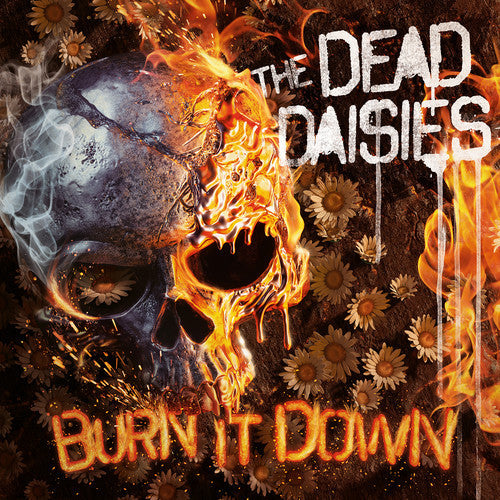 Burn It Down [CD]