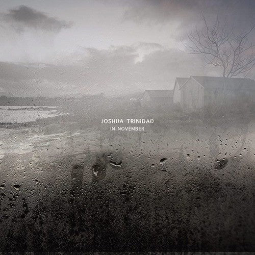 In November [180 Gram]