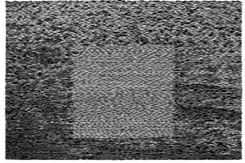 Grid Of Points [CD]