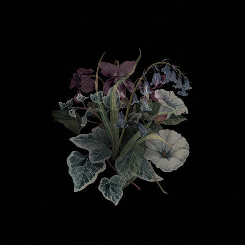Wildflowers (Blk) (Gate) [Limited Edition] [180 Gram]