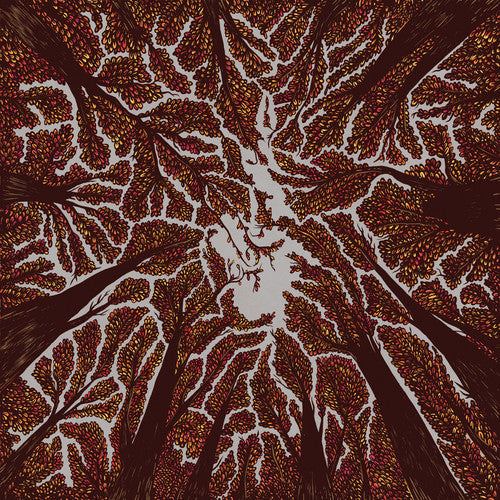 Crown Shyness [CD]
