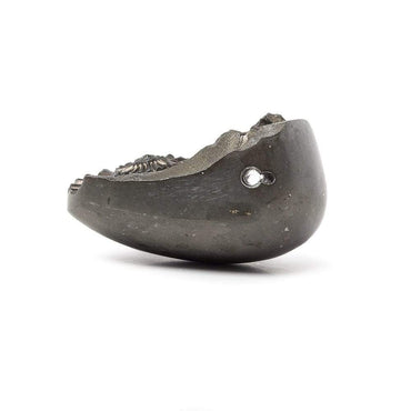 37x29mm Pyritized Ammonite Fossil Bead (ONLINE ORDER ONLY)