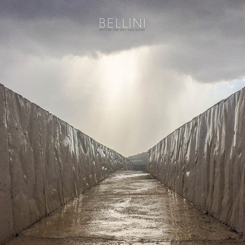 Before The Day Has Gone [LP]