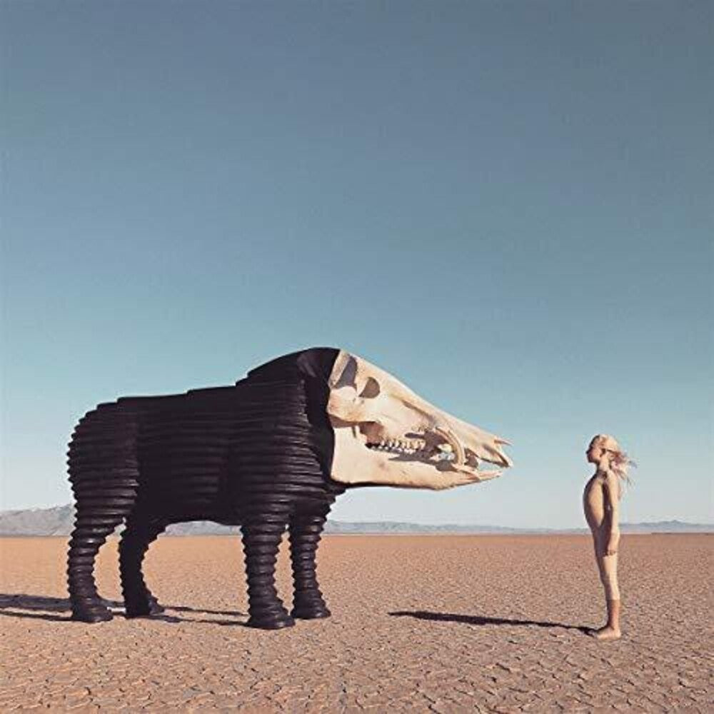 Dream Hunting In The Valley Of The In-between [CD]
